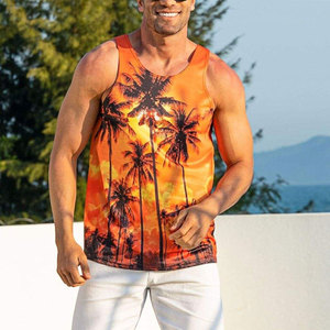 Camiseta sin Mangas para Hombre a Precio Bajo, Moda de Verano, Camiseta sin Mangas para Hombre de Alta Calidad y Transpirable - Product Image 4