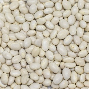 Haricots Sucrés de Haute Pureté à Faible Teneur en Impuretés Étrangères, Soigneusement Traité pour une Approvisionnement Fiable en Ingrédients en Vrac - Product Image 5