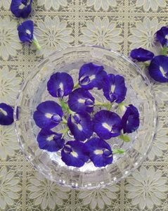 Flores Secas de Mariposa Azul Natural, Pétalos para Té, Bebidas Artesanales y Decoración, Suministro de Vietnam, Envasado al Vacío - Product Image 1