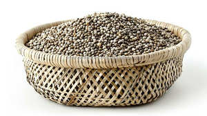 Green <b>Millet</b> for Animal Feed Available for Sale - Product Image 6