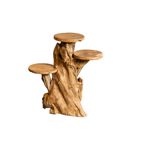 ARTERRA Support de Présentation en Bois Massif Artisanal Naturel Rustique en Racine de Teck Bio Premium pour Décoration Intérieure/Extérieure - Idéal Diwali - Product Image 1