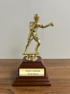 Copa de trofeo de metal de primera calidad para torneo de campeonato de boxeo disponible a un precio asequible desde India. - Product Image 2