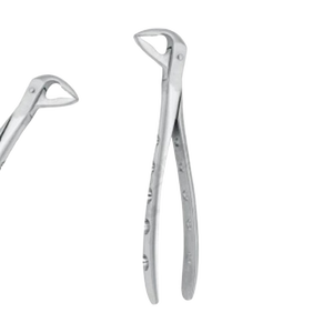 Pince à extraire la figue 106 Incisives inférieures Ensemble dentaire allemand en acier inoxydable de qualité supérieure Fabricant d'instruments chirurgicaux Pakistan - Product Image 1