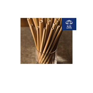 Sélection Populaire : Pailles en Bambou Écologiques et Sûres, 100% Végétales, Idéales pour le Service de Boissons et la Dégustation de Cocktails - Prix Direct - Product Image 1