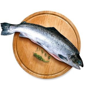 Filets de saumon atlantique biologique japonais surgelés IQF de haute qualité, 100% naturels, faibles en glucides, emballés sous vide - Product Image 6