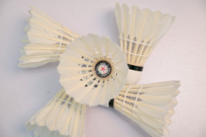 Volants de badminton professionnels Vina-Star en plumes d'oie, niveau tournoi, légers, stables, haute durabilité, lot de 12 - Product Image 5