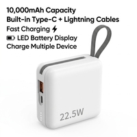 Batterie externe portable mini 5000 & 10000 mAh personnalisée en usine avec câble double intégré Type-C et Lightning, vente en gros, logo OEM gratuit