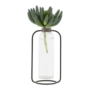 Jarrón de Vidrio Minimalista Ecológico con Marco de Metal Cromado, Diseño Cuadrado de 8.5 Pulgadas de Alto para Decoración de Escritorio con Flores/Plantas Verdes - Product Image 4