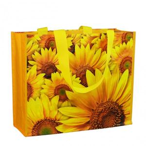 Sac fourre-tout réutilisable pour supermarché avec logo personnalisé, sac d'épicerie en PP tissé laminé, recyclé avec motif de dessin animé, prix avantageux - Product Image 1