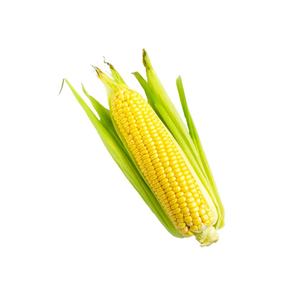 Maïs jaune en vrac pour l'alimentation animale, grain sec et propre pour l'élevage de volailles - Product Image 3