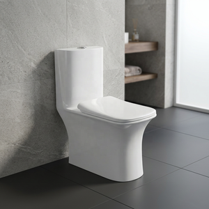 WC monobloc certifié CE avec chasse d'eau Tornado, abattant à fermeture douce, double chasse, suite sanitaire en porcelaine - Product Image 1