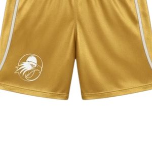 Shorts de boxe dorés pour hommes, vêtements de combat athlétiques, entraînement, compétition, vêtements de sport, shorts de performance pour le ring - Product Image 5
