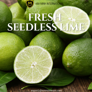 Citron vert frais sans pépins du Vietnam - Approvisionnement en gros pour importateurs et distributeurs - Product Image 2