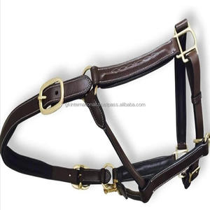 Halter de cheval en cuir de qualité supérieure noir et marron havane robuste avec rembourrage et coutures fantaisie raccords de variante en nickel ou en laiton - Product Image 5