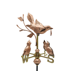 Iron Bird Weather Vane with Compass Directions Outdoor Garden Ornament Traditional Style Polished Finish Vintage Animal Shape - Product Image 4