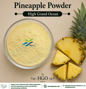 HGO Factory Direct Supply of Pure Natural <b>Pineapple</b> Powder (Food Grade) Fruit powder Spray Drying or Freeze-dried powder - Product Image 1