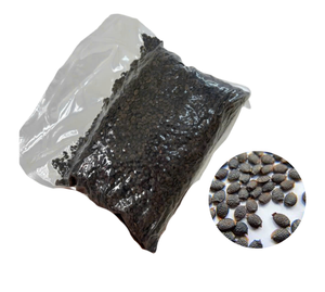 Producto al por Mayor de Primera Calidad: Semillas de Maracuyá en Empaque a Granel - Product Image 1