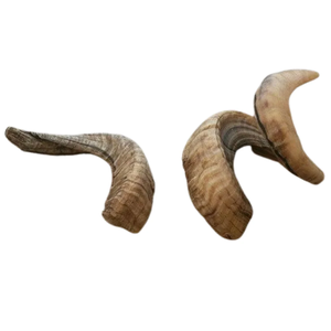 100% Natural Buffalo <b>Decorative</b> Horn New Style Handmade Buffalo Ox Horn Sculpture <b>Decorative</b> Horn - Product Image 3