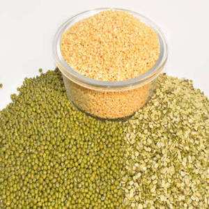Poudre d'isolat de protéine FitTree Moong de haute qualité, à base de plantes, pour la nutrition sportive, les boissons fonctionnelles, les collations et les aliments sains, 24 mois - Product Image 4