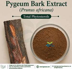 Suministro Directo de Fábrica HGO de Extracto Puro de Corteza de Pygeum (Prunus africana) Grado Alimenticio, Fitosteroles Totales 5% Extracto Estandarizado - Product Image 1