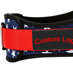 Custom Logo Dipping <b>Belt</b> Men Women Gym Weightlifting <b>Chain</b> <b>Belt</b> OEM Supplier - Product Image 3