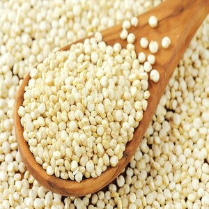 Grains de quinoa blanc frais offrant une nutrition naturelle et un goût excellent pour les grossistes, les détaillants et les restaurants - Product Image 3