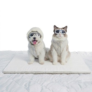 [Daejin Electronics] Tapis rafraîchissant lavable pour animaux de compagnie Brys, coussin rafraîchissant pour chien, compatible avec les chiens et les chats, ensemble universel - Product Image 1
