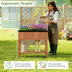 Bac à légumes surélevé en bois avec étagère de rangement, capacité 220 LBS, pour abris et rangements - Product Image 6