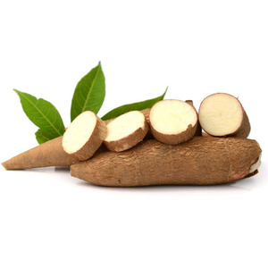 Raíces Frescas de Yuca / Tapioca / Mandioca / Casabe - Product Image 3