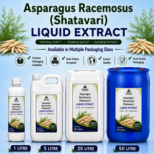 Asparagus Racemosus Shatavari Liquid Extract Natural <b>Herbal</b> <b>Supplement</b> Bulk Packaging Custom Label - Product Image 1