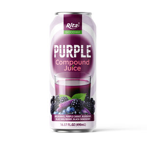 Jus Composé Violet 490ml en Canette Livraison Rapide Service de Qualité Boissons Rita Fabrication Vietnamienne Bon Prix Faible Teneur en Sucre - Product Image 1