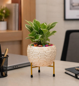 Maceta de Metal Pitalnagi Meenakari Hecha a Mano, Maceta Decorativa para Plantas de Interior y Exterior, Artesanía Tradicional India - Product Image 1