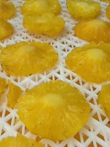 Morceaux d'ananas séché du Vietnam, ingrédient naturel de fruits tropicaux pour la pâtisserie, les desserts, la granola et la production de snacks en vrac - Product Image 5