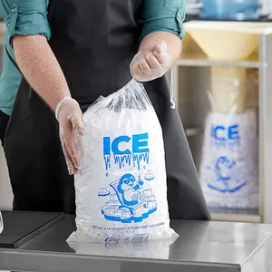 <b>ICE</b> <b>BAG</b> WITH BLOCKHEADER - Product Image 1