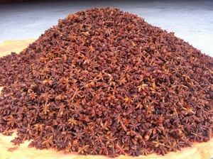 Anis étoilé entier séché du Vietnam, qualité commerciale, sac de 5 lb, directement de l'usine - Product Image 1