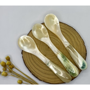 Cuchara de Concha Marina Ecológica Premium, Hecha a Mano, Vajilla de Concha Natural Desechable para Restaurantes, Hoteles y Servicios de Catering - Product Image 4
