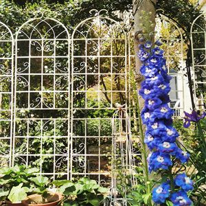 Set di 4 Tralicci da Giardino in Metallo Antiruggine Bianco Crema 220 cm x 50 cm, Supporto per Fiori da Esterno per Piante Rampicanti - Product Image 6