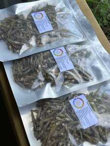 Anchoas Enteras Secas al Sol de Vietnam, Grado AA, Mariscos Naturales envasados al Vacío para Suministro Culinario y Distribución Mayorista, 99 Gold Data - Product Image 1