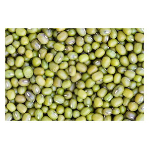 Haricots verts mungo frais séchés de petite taille, de haute qualité, prix de gros pour les acheteurs exportateurs, à vendre - Product Image 2