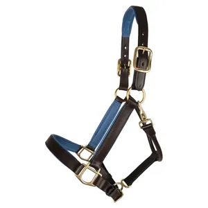 100% Grain Leather <b>Halter</b> with Customizable Design Silver Fittings Assorted Colors for Horse Riding Shows - Product Image 2