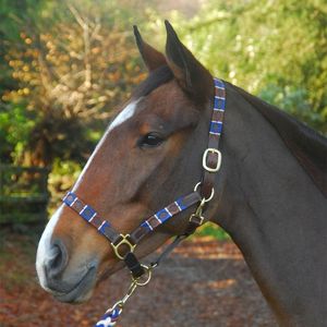 Luxury Patterned Horse Halter with Reinforced Stitching Adjustable Fit High Strength Buckles for Stylish Control - Product Image 1