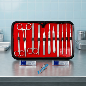 Kit de Suture pour la Pratique de la Dissection, Ensemble d'Instruments Dentaires Personnalisés, Coussin en Silicone Durable pour la Peau, Manuel d'Instruments Médicaux - Product Image 2