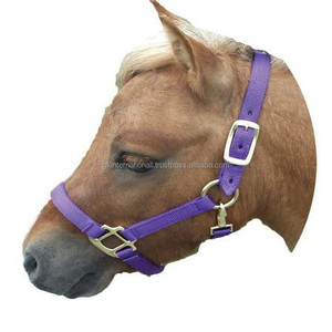 Vente en gros de licous de cheval personnalisés de haute qualité licou pratique pour chevaux collier de tête équine 100% nylon durable licou - Product Image 1