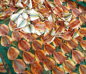 Pesce Goffrino Giallo Essiccato di Qualità Export dal Vietnam, Prodotto Molto Richiesto - Product Image 1