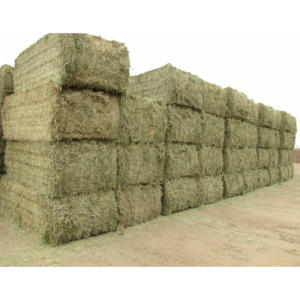 Heno de alfalfa para alimentación animal / Pellets de heno de alfalfa / Heno de Timothy en pacas - Product Image 5