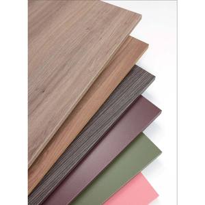 Panneau HPL de qualité professionnelle, stratifié haute pression, avec une résistance supérieure et une surface résistante aux rayures - Product Image 6