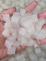 Nata de Coco sur mesure 6x6 10x10 12mm pour desserts au thé au lait, garniture de gelée de noix de coco, meilleur prix du fabricant vietnamien