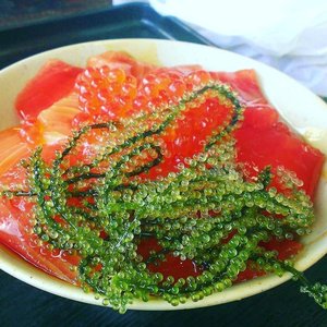 องุ่นทะเลอบแห้งออร์แกนิกจากเวียดนาม - Product Image 2