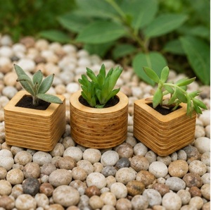 Minimalist Geometric Wooden Succulent Planter Set Eco-Friendly <b>Mini</b> Flower <b>Pots</b> for Modern Office Desktop & Home Decor - Product Image 2