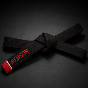 Ceintures de judo de haute qualité à prix raisonnable, styles personnalisés, service OEM, best-seller, faible MOQ, respirantes, en polyester/coton, pour le sport - Product Image 2